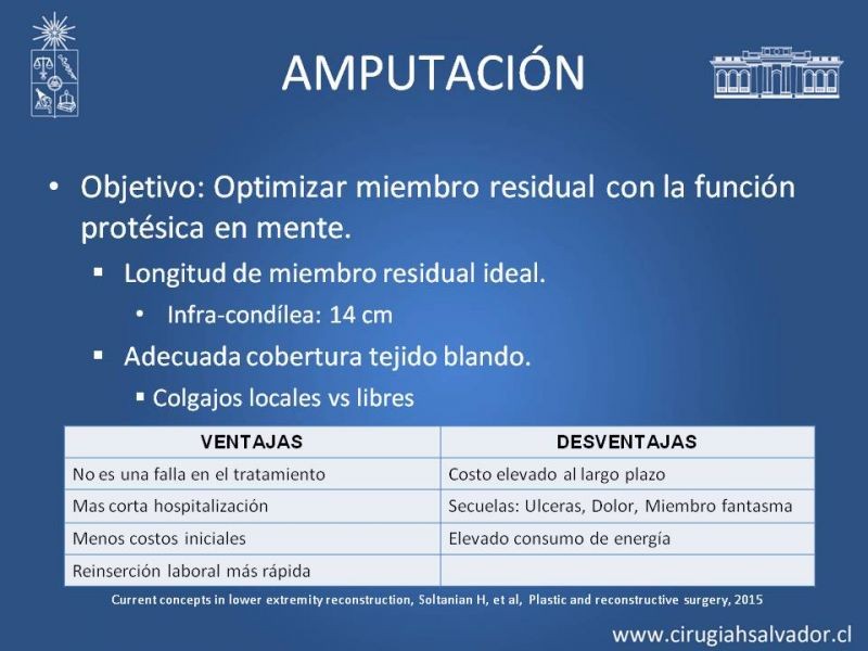 Diapositiva 10 de Cobertura miembro inferior