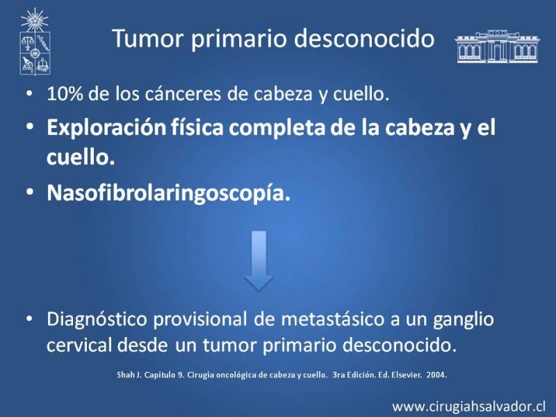 Diapositiva 9 de Metástasis cervical de primario desconocido