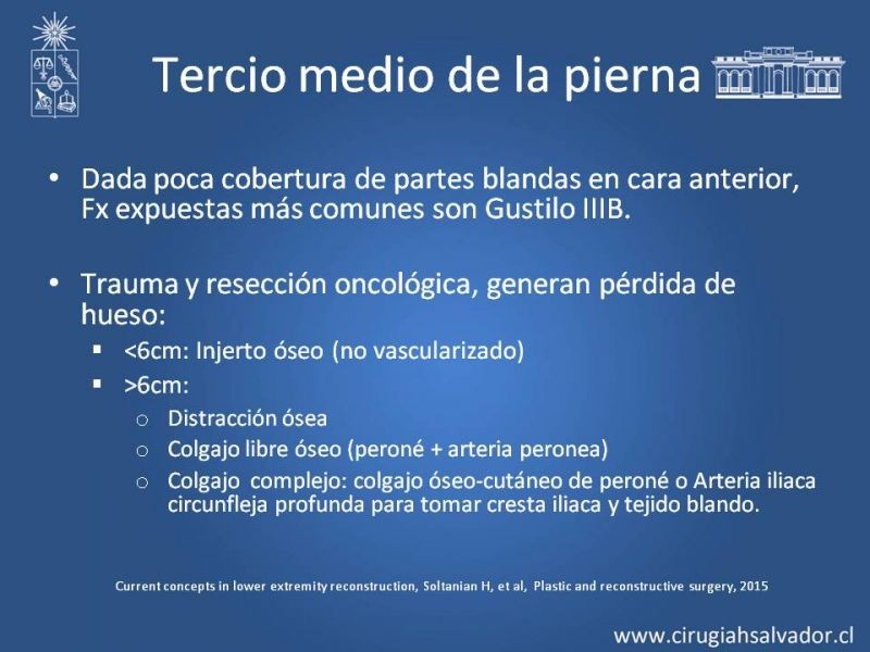 Diapositiva 31 de Cobertura miembro inferior