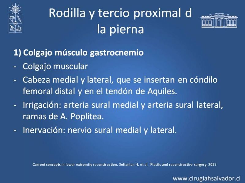 Diapositiva 19 de Cobertura miembro inferior
