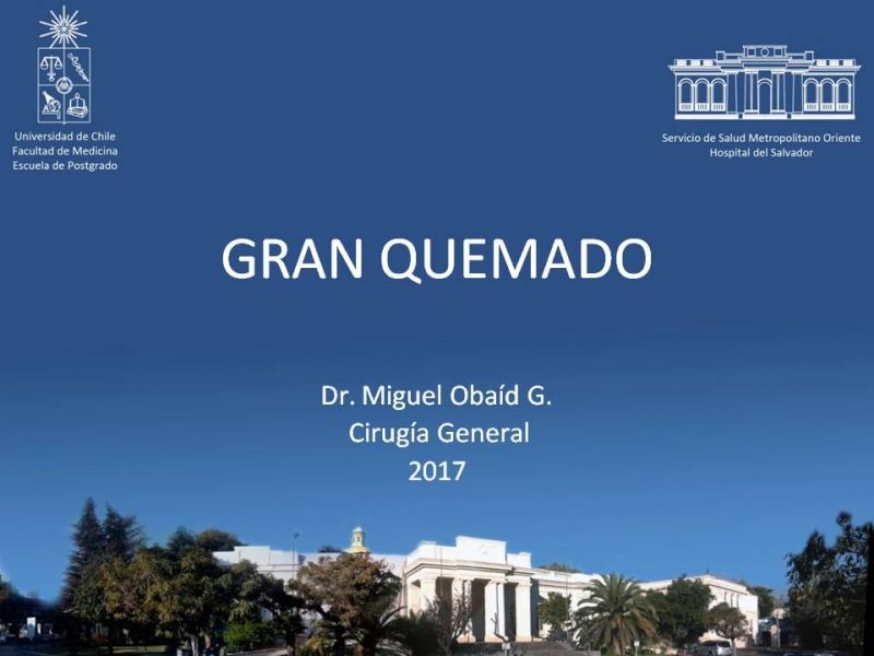 Diapositiva 53 de Gran quemado
