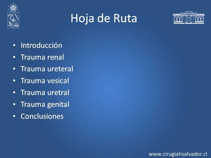 Diapositiva 1 de Lesiones de vía urinaria