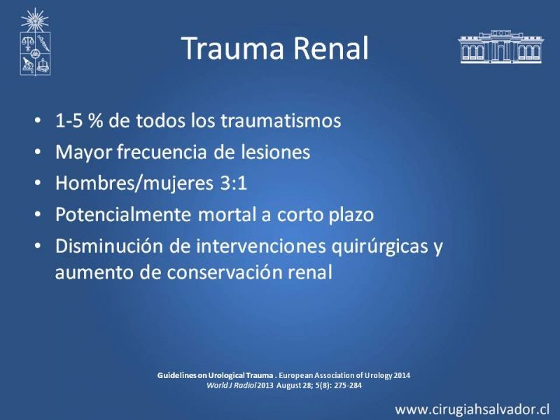 Diapositiva 3 de Lesiones de vía urinaria