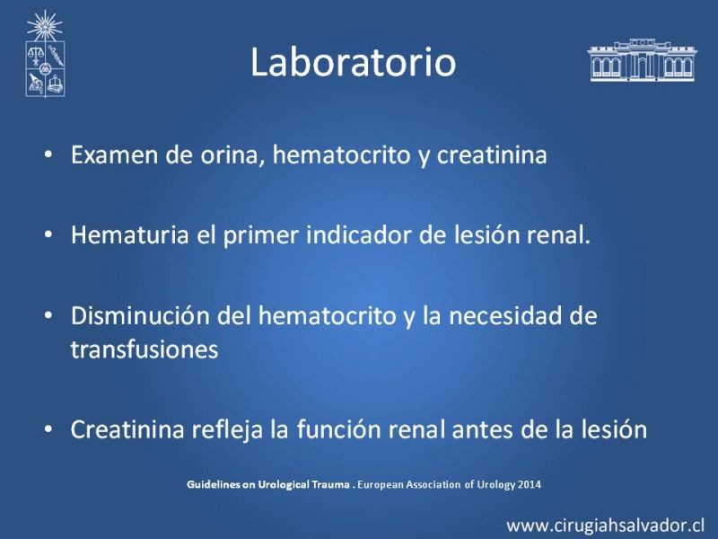 Diapositiva 16 de Lesiones de vía urinaria