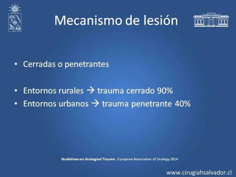 Diapositiva 4 de Lesiones de vía urinaria