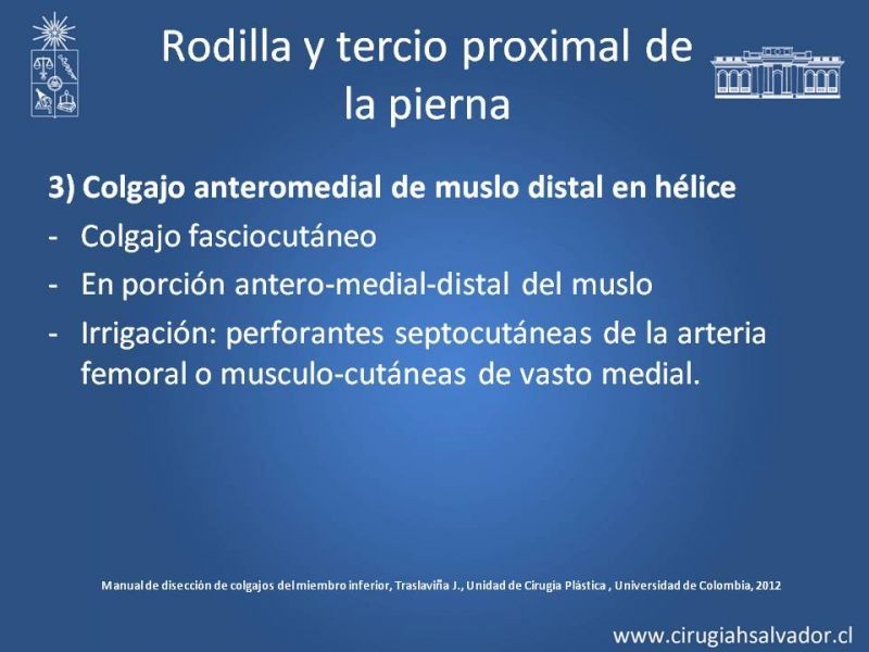 Diapositiva 25 de Cobertura miembro inferior