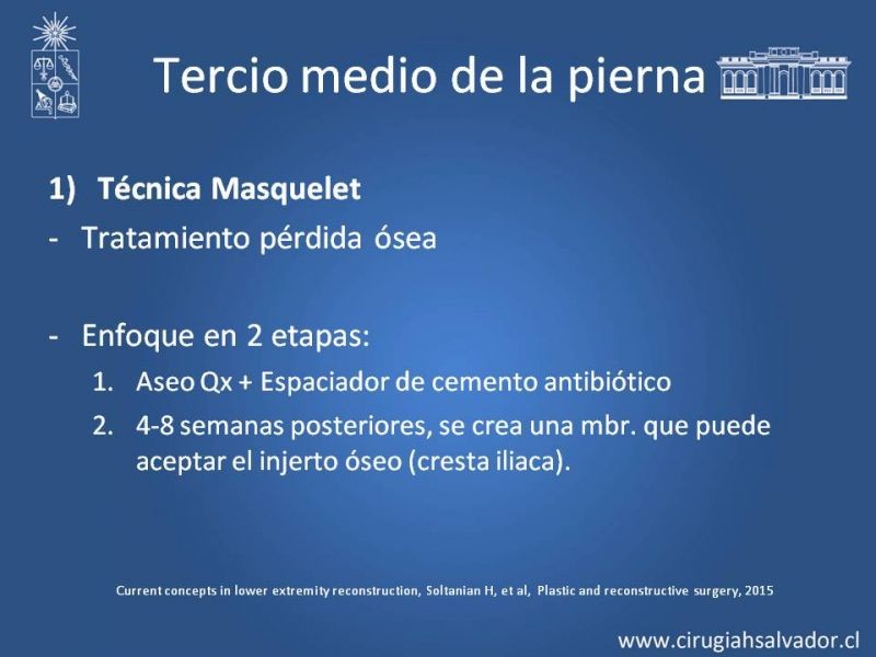 Diapositiva 32 de Cobertura miembro inferior