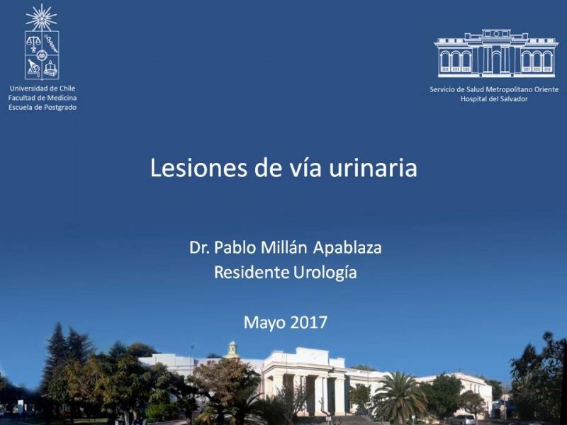 Diapositiva 44 de Lesiones de vía urinaria
