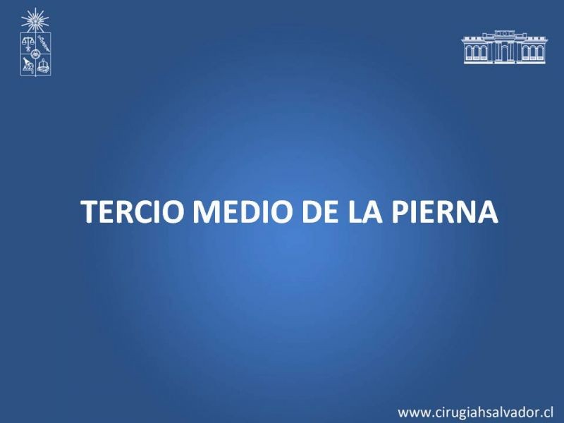 Diapositiva 30 de Cobertura miembro inferior