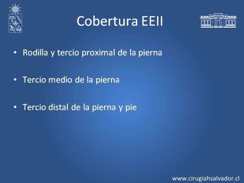 Diapositiva 17 de Cobertura miembro inferior