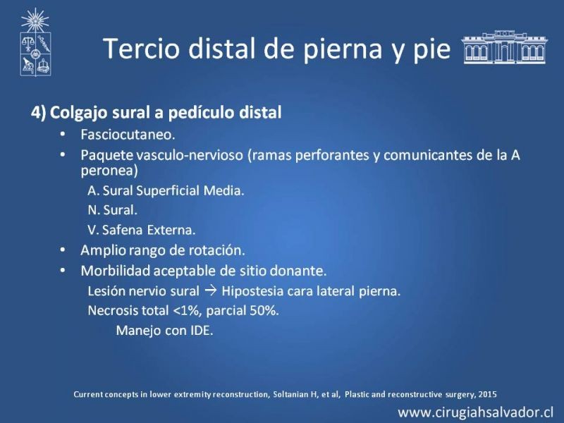 Diapositiva 42 de Cobertura miembro inferior