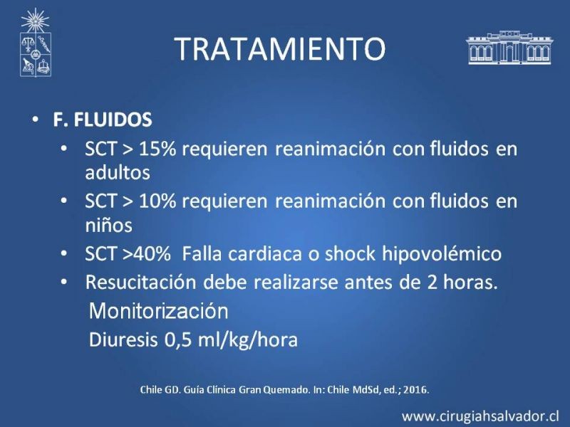 Diapositiva 41 de Gran quemado