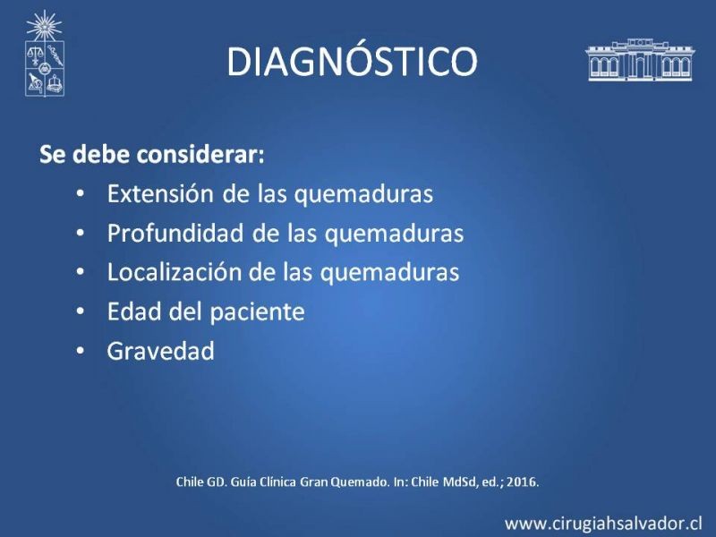 Diapositiva 16 de Gran quemado