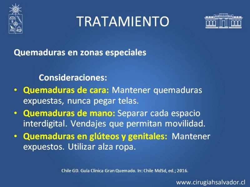 Diapositiva 45 de Gran quemado