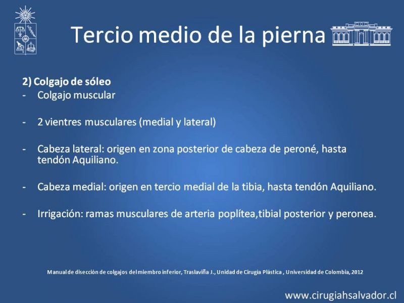 Diapositiva 34 de Cobertura miembro inferior