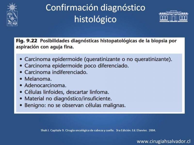 Diapositiva 12 de Metástasis cervical de primario desconocido