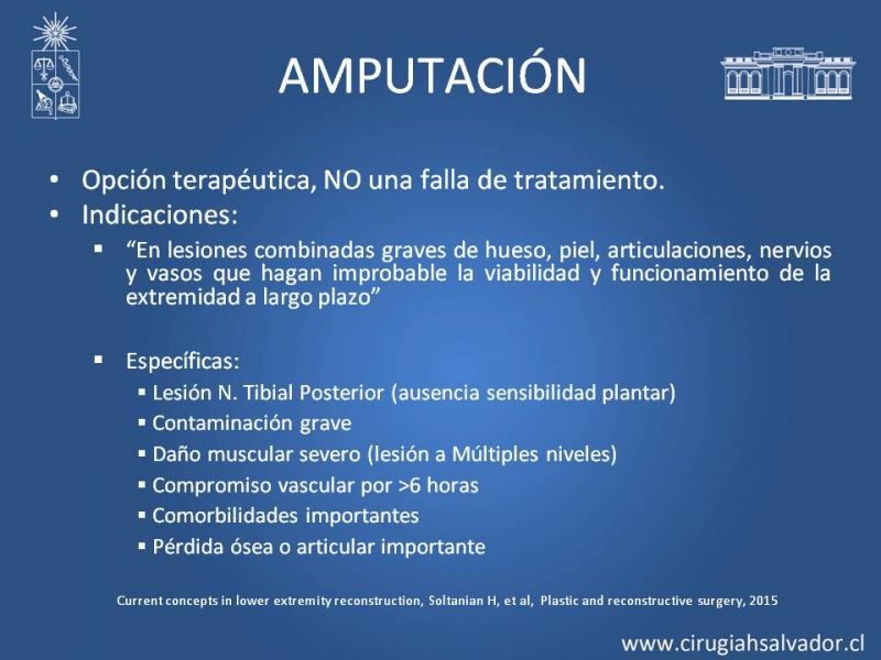 Diapositiva 9 de Cobertura miembro inferior