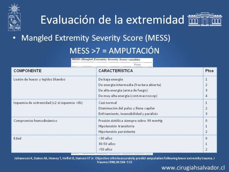 Diapositiva 8 de Cobertura miembro inferior