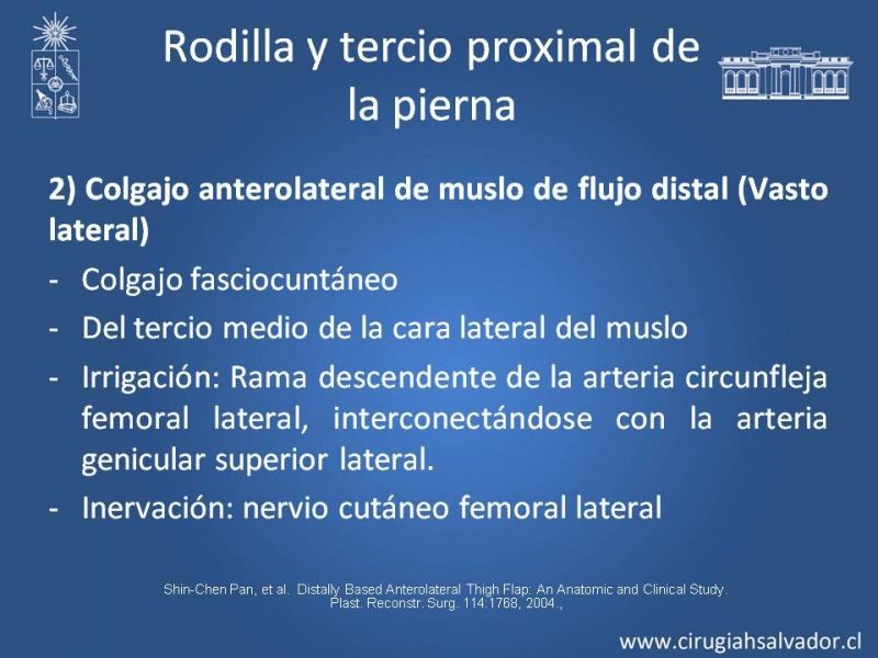 Diapositiva 23 de Cobertura miembro inferior