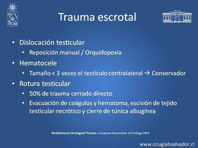 Diapositiva 41 de Lesiones de vía urinaria