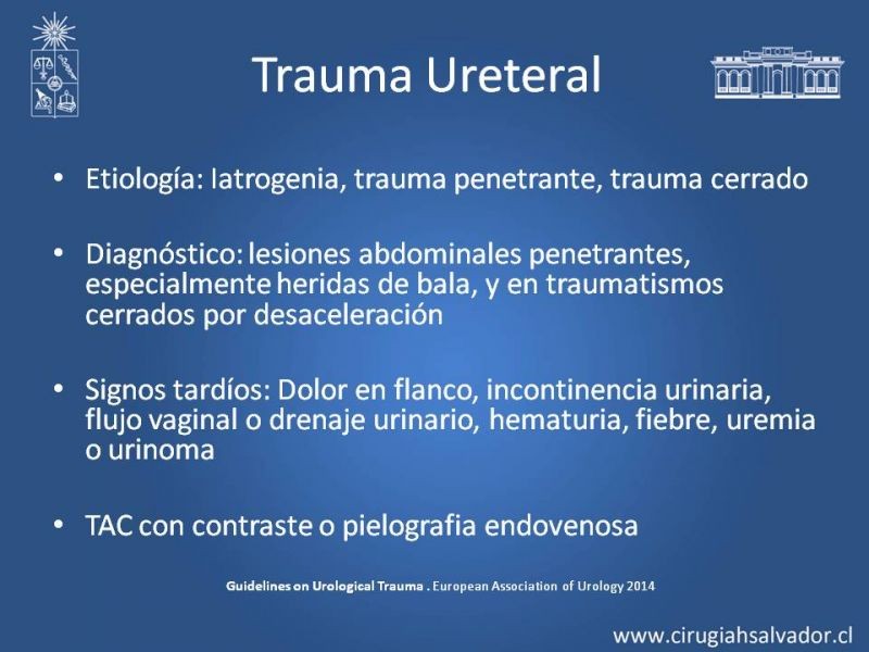 Diapositiva 24 de Lesiones de vía urinaria