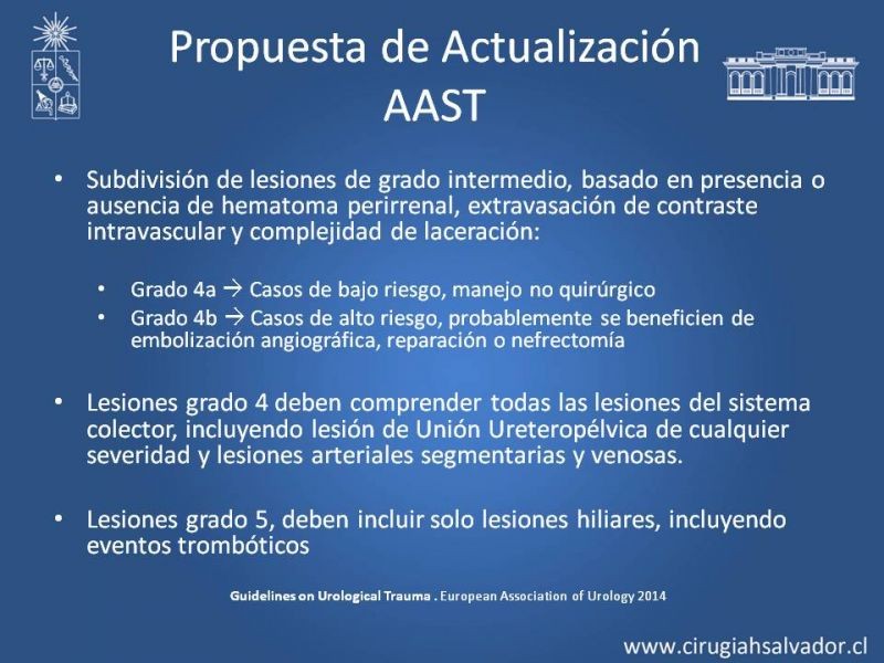 Diapositiva 45 de Lesiones de vía urinaria