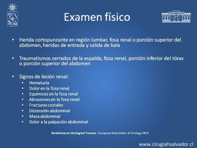 Diapositiva 15 de Lesiones de vía urinaria