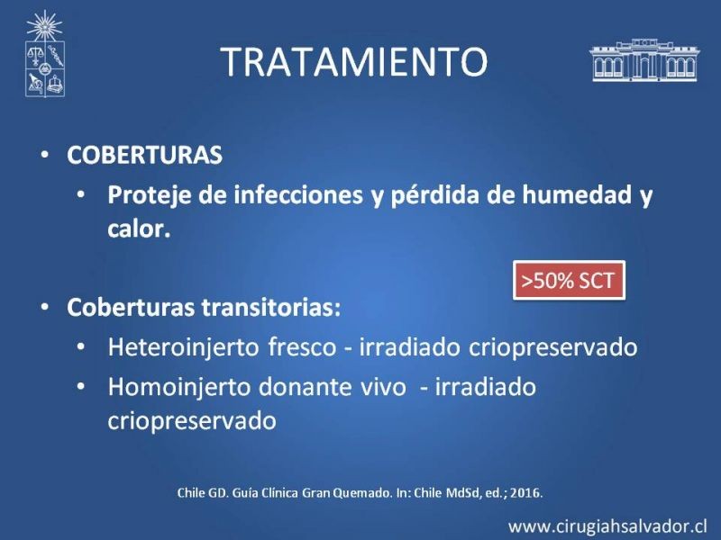 Diapositiva 46 de Gran quemado