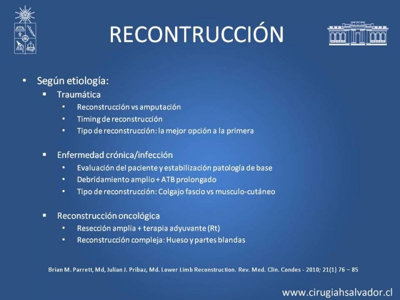 Diapositiva 15 de Cobertura miembro inferior
