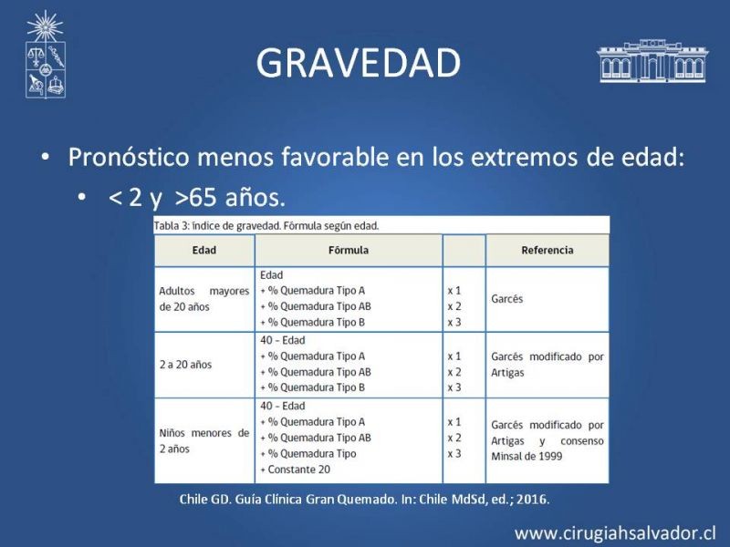 Diapositiva 32 de Gran quemado