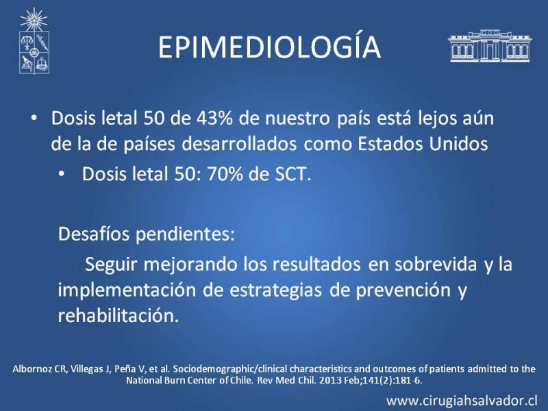 Diapositiva 14 de Gran quemado