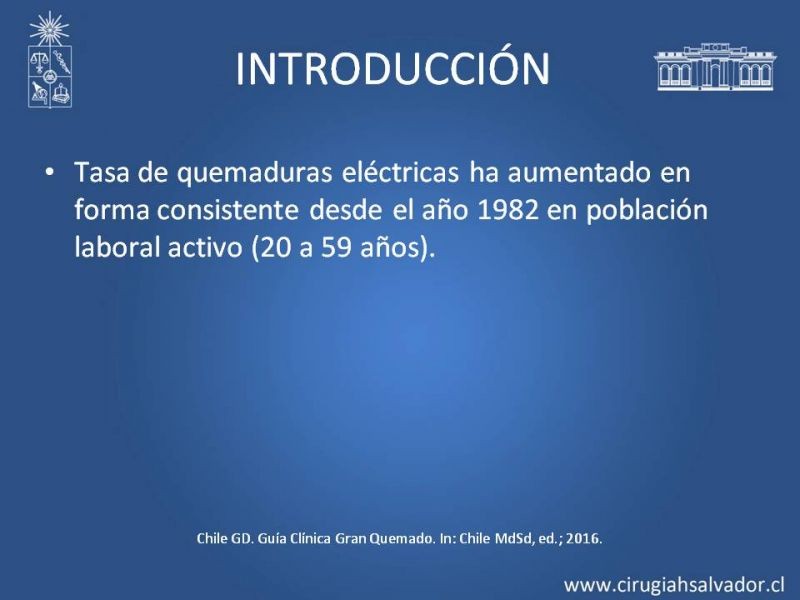 Diapositiva 4 de Gran quemado