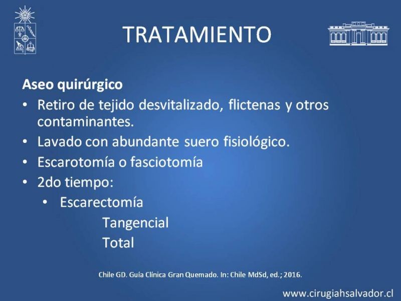 Diapositiva 44 de Gran quemado