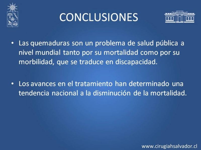 Diapositiva 50 de Gran quemado