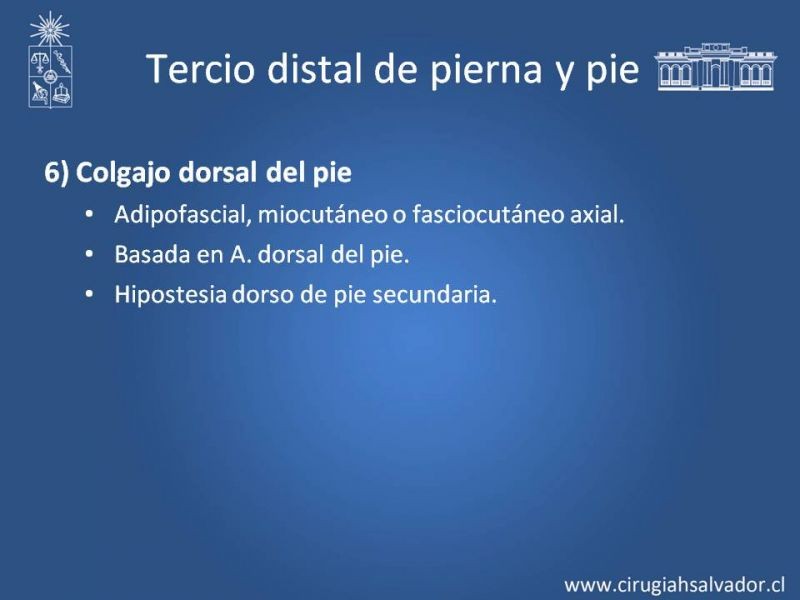 Diapositiva 46 de Cobertura miembro inferior