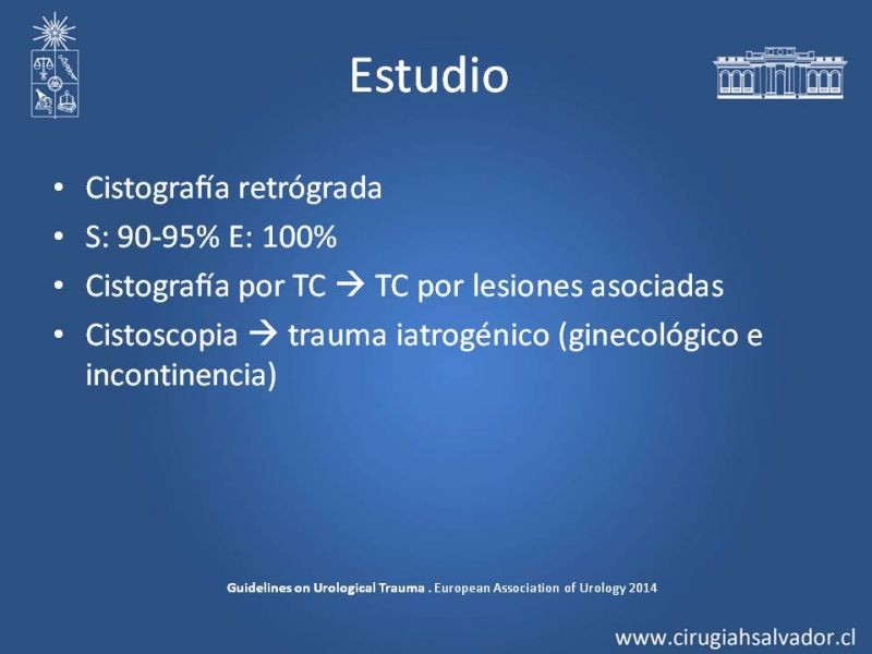 Diapositiva 29 de Lesiones de vía urinaria