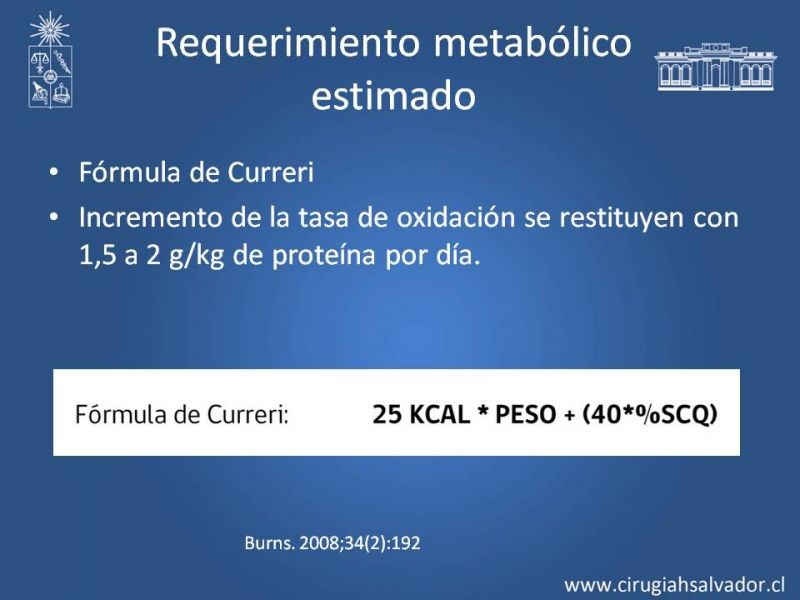 Diapositiva 28 de Manejo Médico del Gran Quemado