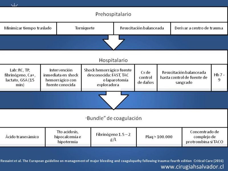 Diapositiva 8 de Terapia transfusional en trauma