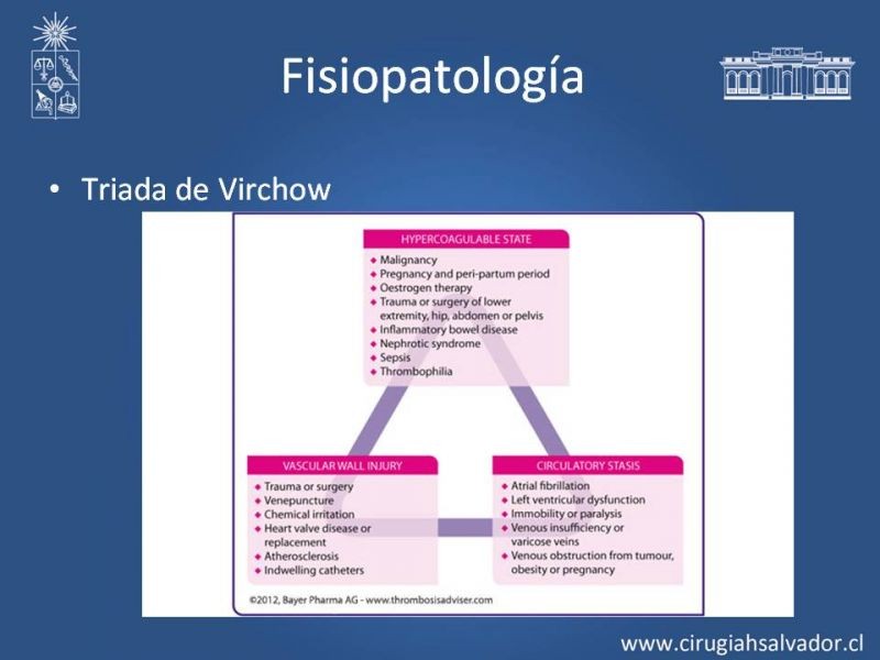 Diapositiva 4 de Prevención Enfermedad Tromboembólica