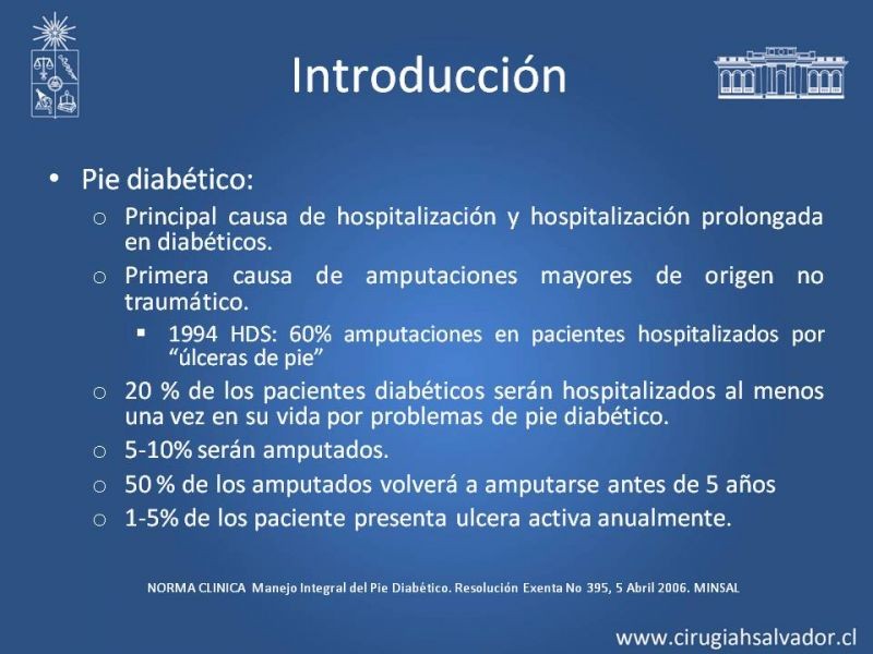 Diapositiva 2 de Pie Diabético