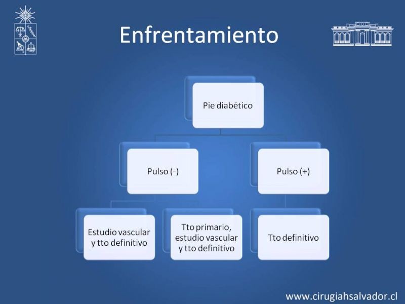Diapositiva 15 de Pie Diabético