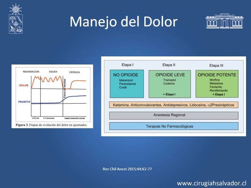 Diapositiva 19 de Manejo Médico del Gran Quemado