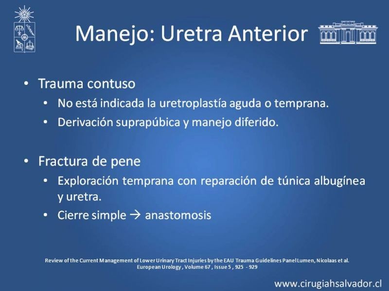 Diapositiva 20 de Trauma Uretral