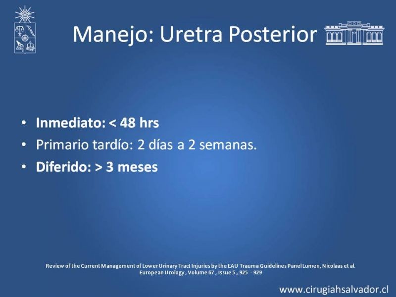 Diapositiva 23 de Trauma Uretral