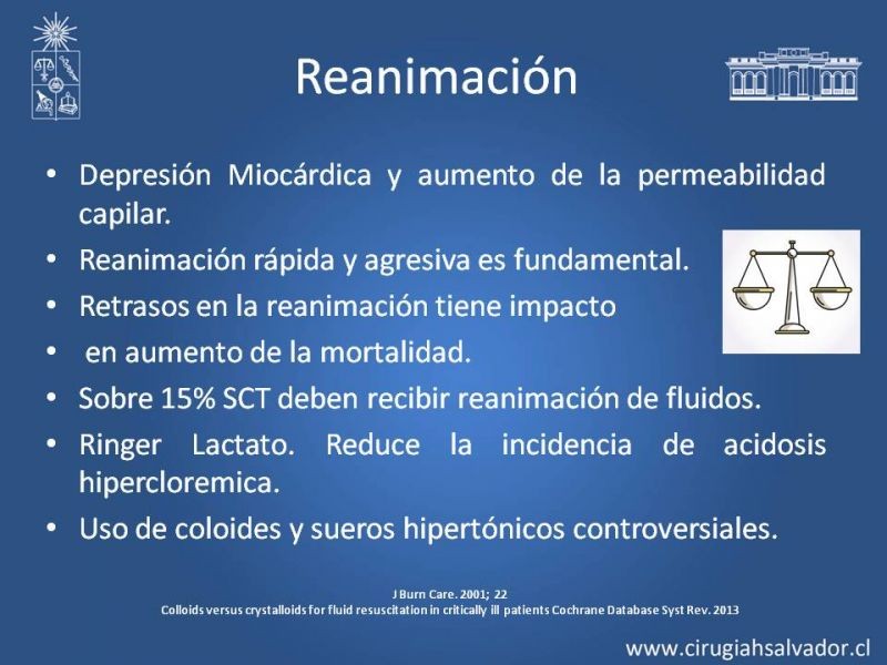 Diapositiva 16 de Manejo Médico del Gran Quemado