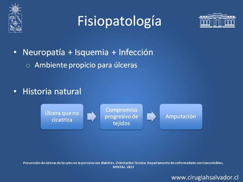 Diapositiva 4 de Pie Diabético