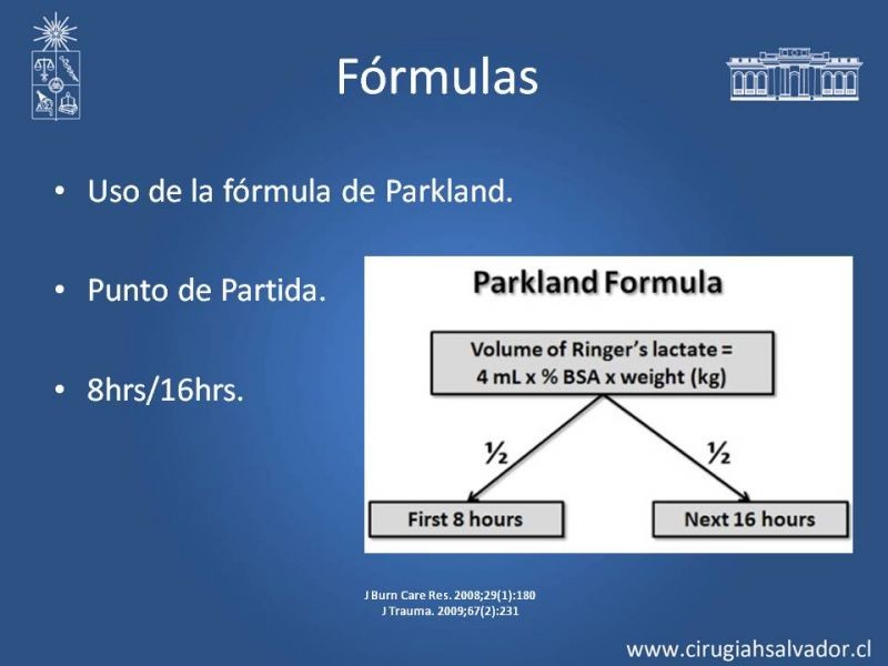 Diapositiva 17 de Manejo Médico del Gran Quemado