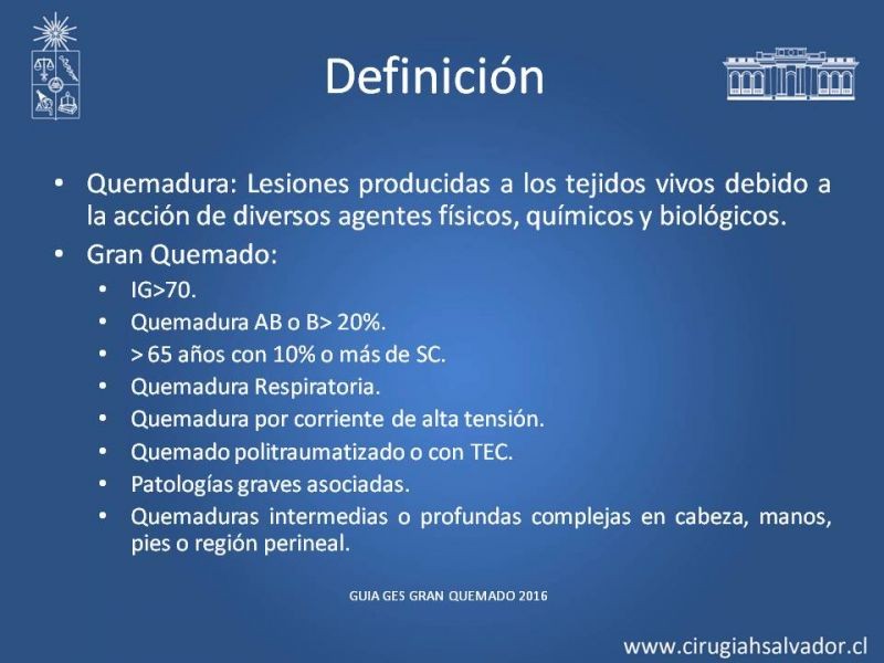 Diapositiva 4 de Manejo Médico del Gran Quemado