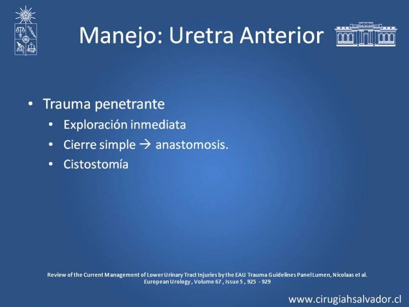 Diapositiva 21 de Trauma Uretral