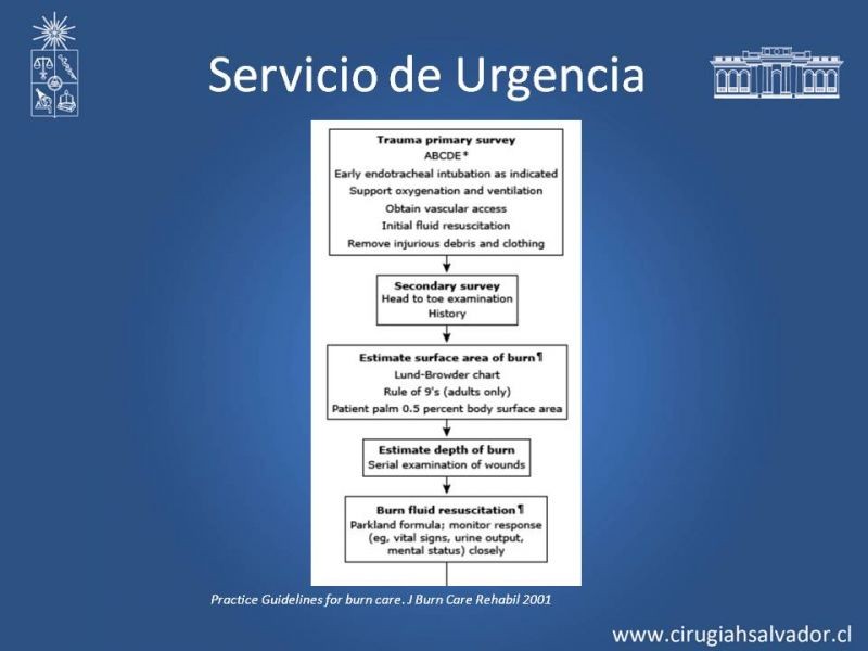 Diapositiva 10 de Manejo Médico del Gran Quemado